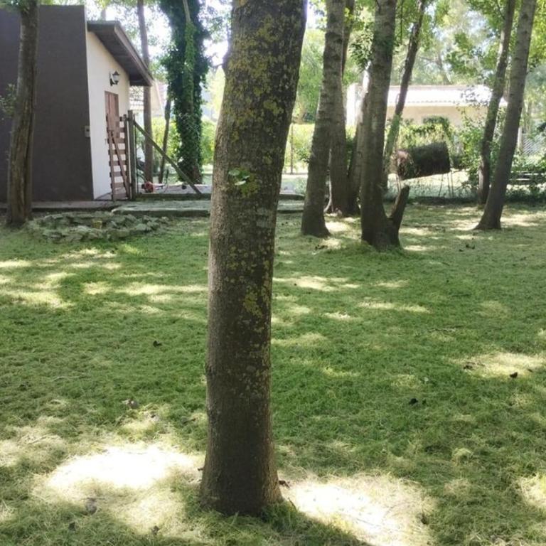 Casa La Amelia - Casa con 1 dormitorio - 6