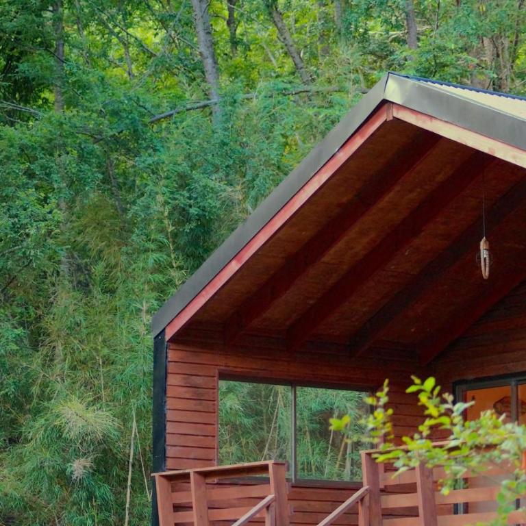 Cafeteria y Cabañas Eluney - Cohigue - Casa con 1 dormitorio - 2