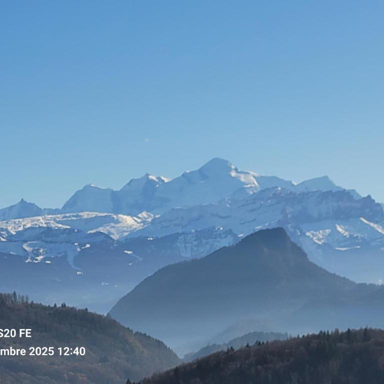 Vue exceptionnelle sur les Alpes - Appartement 1 Chambre - 6