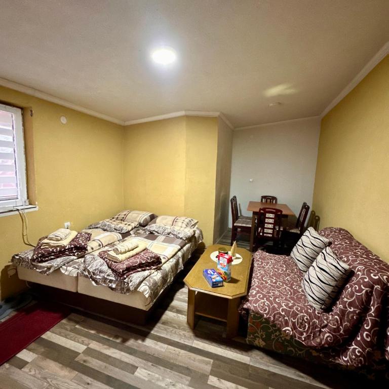 Apartmani Niki Sokobanja - Apartman sa 1 Spavaćom Sobom - 3