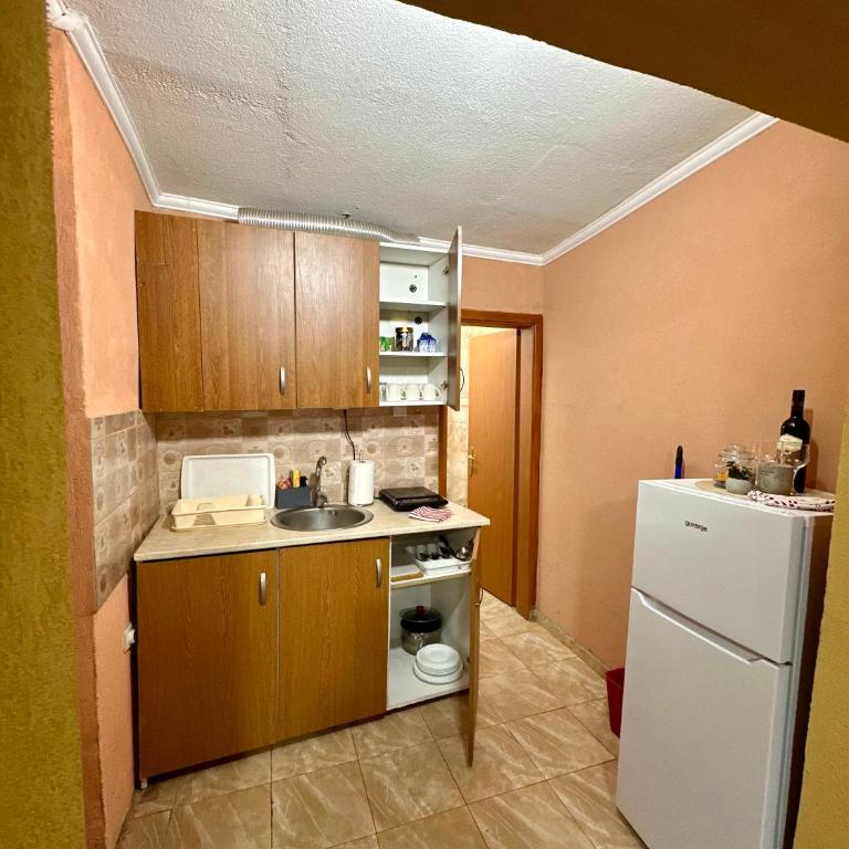 Apartmani Niki Sokobanja - Apartman sa 1 Spavaćom Sobom - 6