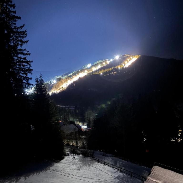 Villa Natalie - Panorama Apartment mit Bergblick, Semmering - Apartment mit 1 Schlafzimmer - 20