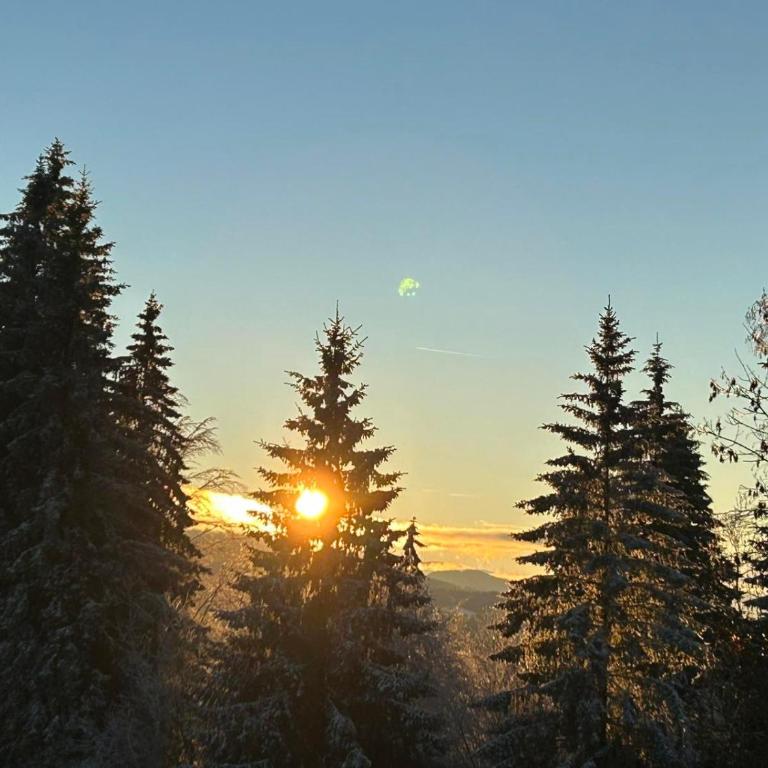 Villa Natalie - Panorama Apartment mit Bergblick, Semmering - Apartment mit 1 Schlafzimmer - 21