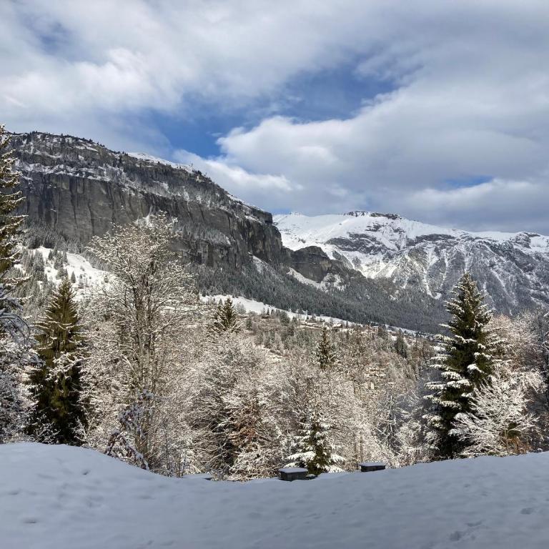 Apartment Flims - Studio Cassons - Apartment mit Blick auf die Berge - 8