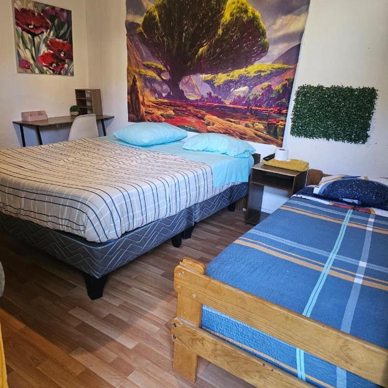 El valle - Twin Room with Private Bathroom - 10
