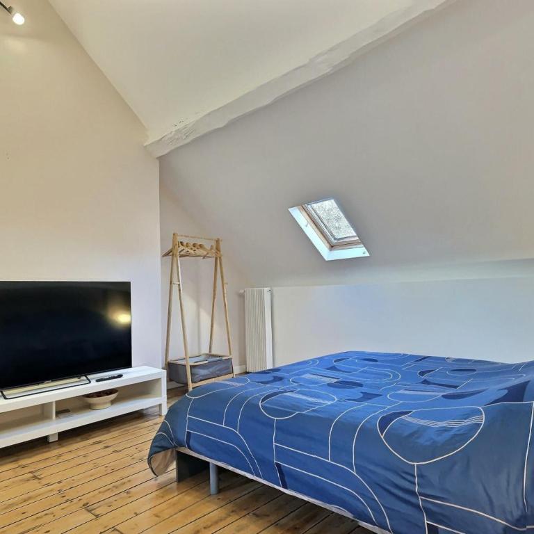 Beau Duplex proche Centre Gare - Appartement 1 Chambre - 11