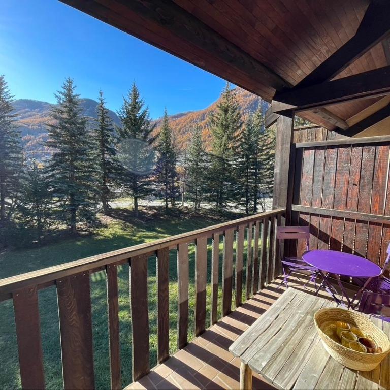 Appartement cosy à Serre Chevalier proche des pistes - Appartement 2 Chambres - 3