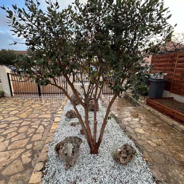 Villa Casa Luma - Villa 3 Chambres - 57