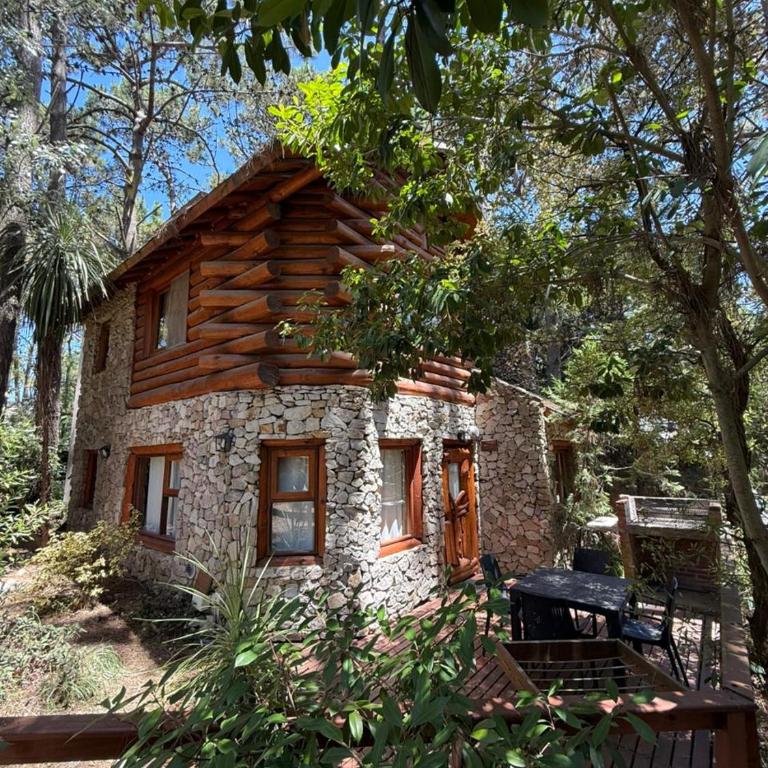 Cabaña Piñen - Apartamento - 2 niveles - 1