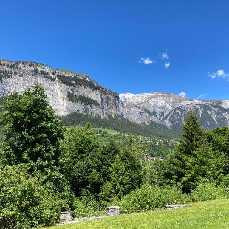 Apartment Flims - Studio Cassons - Apartment mit Blick auf die Berge - 9