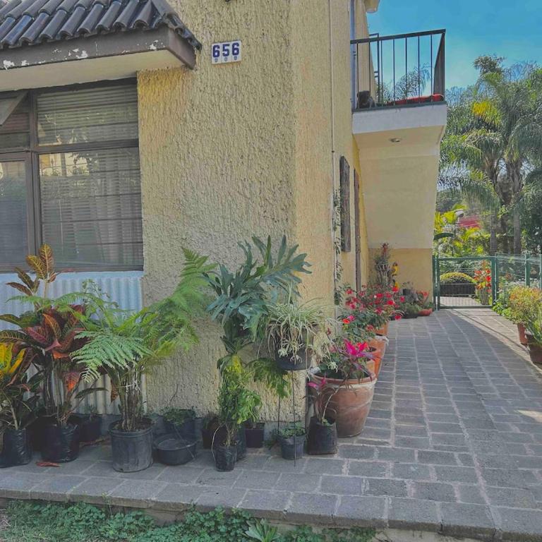 Casa Colomos, a residential area with a garden - Apartamento de 3 dormitorios - 1