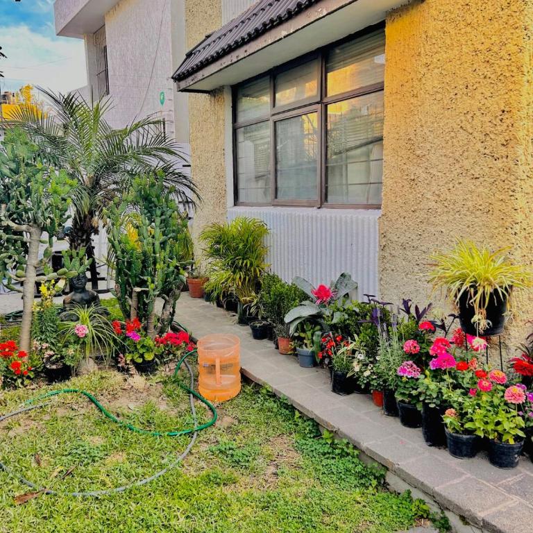 Casa Colomos, a residential area with a garden - Apartamento de 3 dormitorios - 3