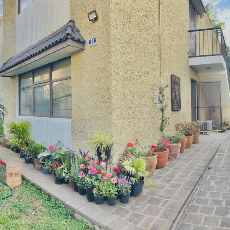 Casa Colomos, a residential area with a garden - Apartamento de 3 dormitorios - 14