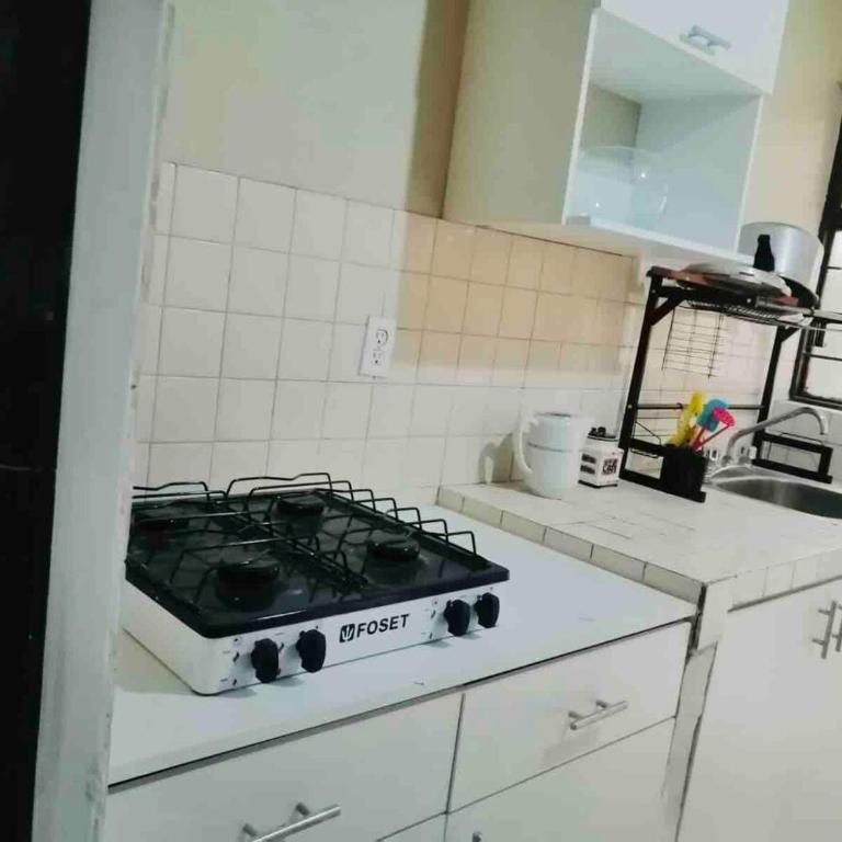 Casa Colomos, a residential area with a garden - Apartamento de 3 dormitorios - 17