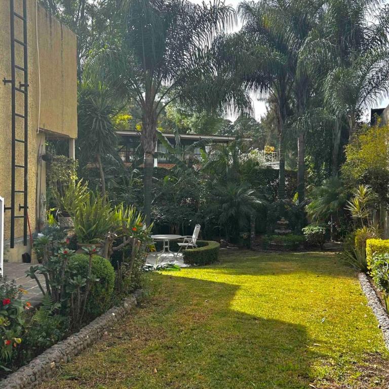 Casa Colomos, a residential area with a garden - Apartamento de 3 dormitorios - 18
