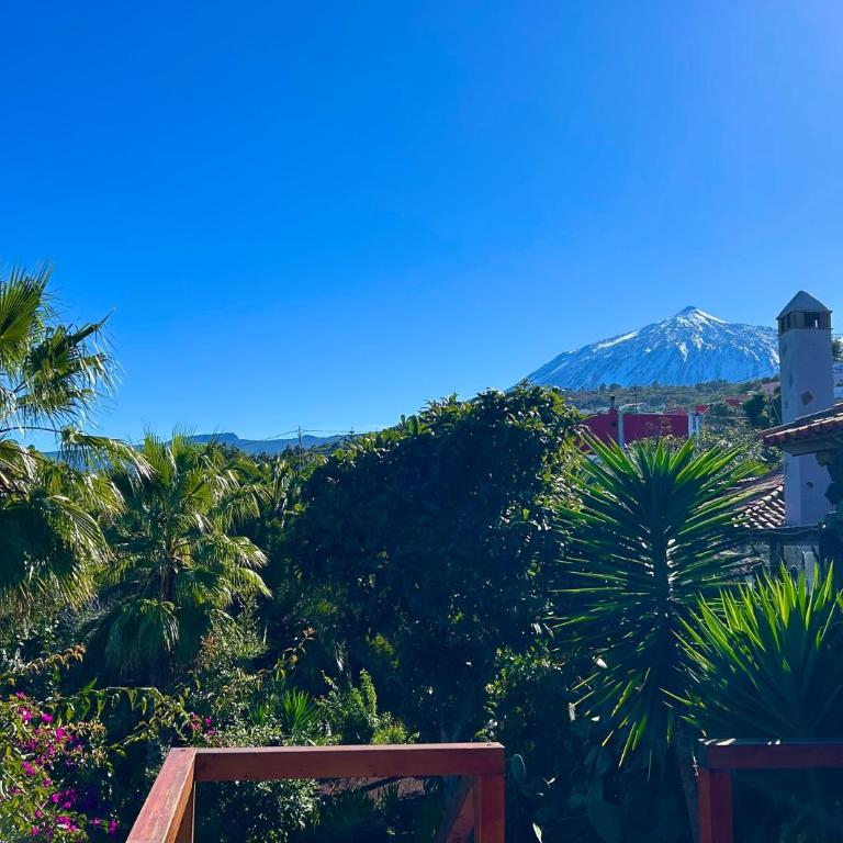 Finca Tenerife - Authentisches kanarisches Haus mit Traumblick, tropischem Garten und Sauna - One-Bedroom House - 21