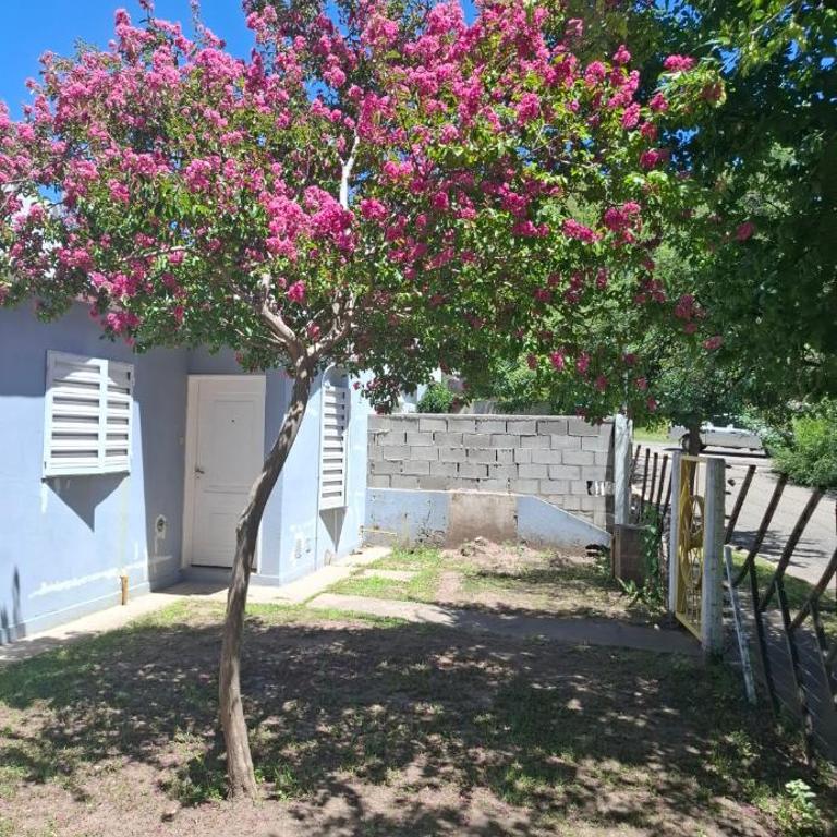 Bajo el Roble - Apartamento de 2 dormitorios - 11