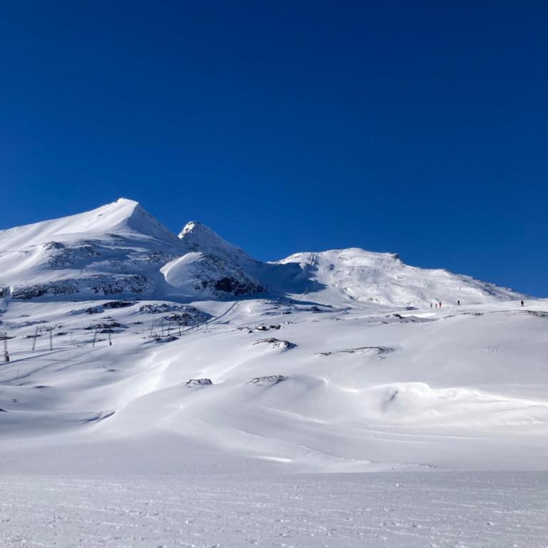 Apartment Flims - Studio Cassons - Apartment mit Blick auf die Berge - 17
