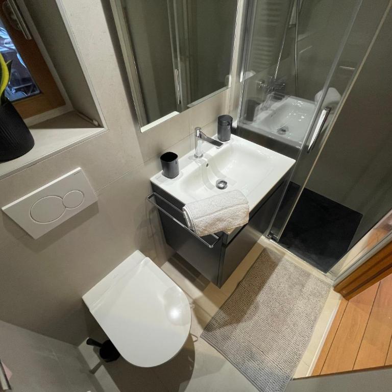 Panorama Saleve - Swiss Border - Bus to Geneva - Appartement 1 Chambre - 9