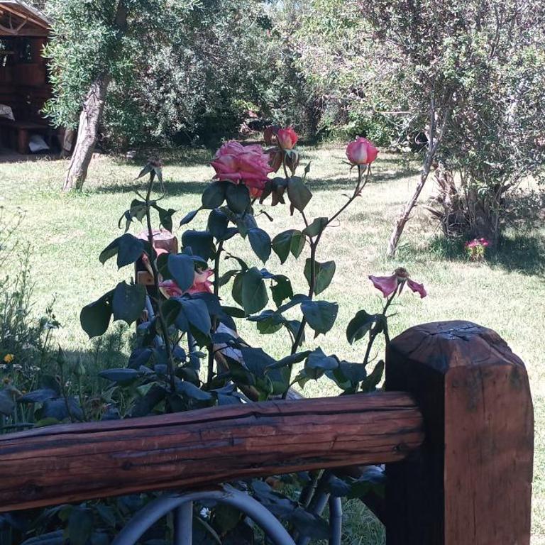 Dos ambientes con quincho en Bariloche - Casa con 1 dormitorio - 37