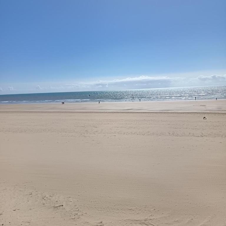Appartement de charme en plein centre-ville, 20 min à pied de la plage et 5 min des commerces et du marché - Appartamento con 2 Camere da Letto - 10