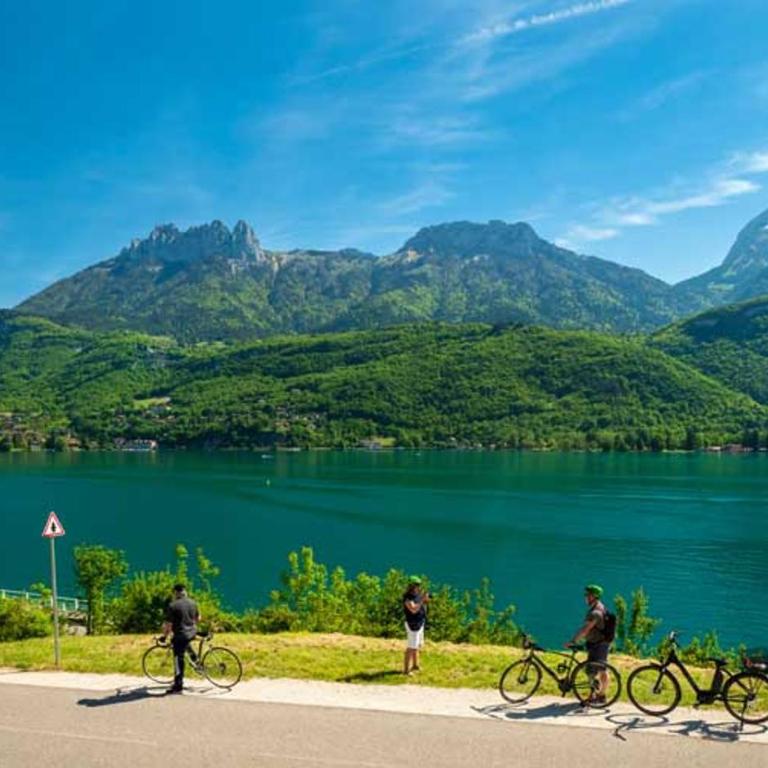 Les Glycines Spacieux appartement 6 pers avec Jardin à 200m du Lac - Apartment mit 3 Schlafzimmern - 39
