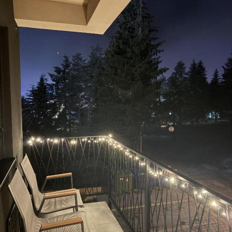 Mountain star - One-Bedroom Apartment - 12