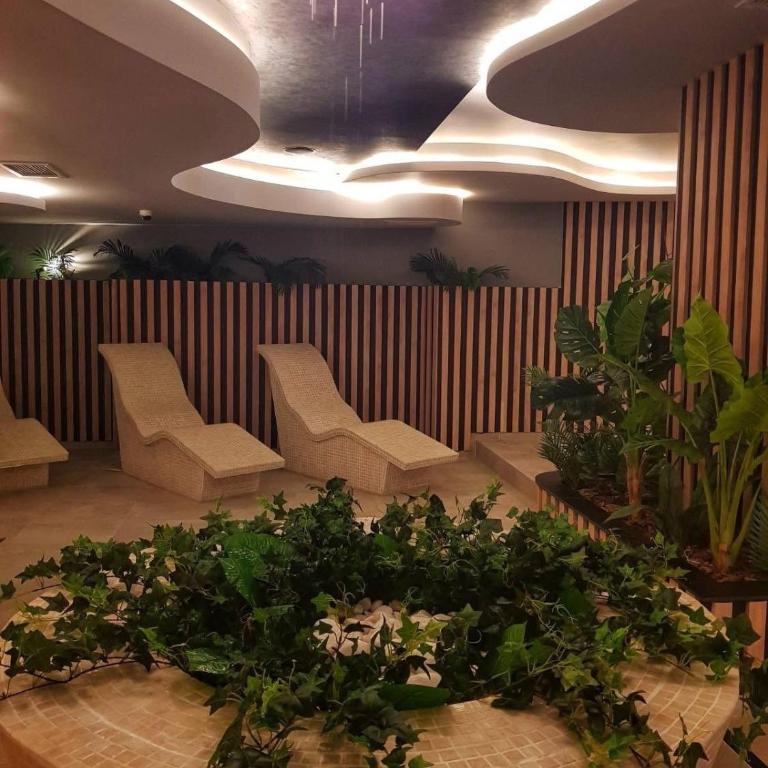 Diamond grey Titova Vila - One-Bedroom Apartment - 12