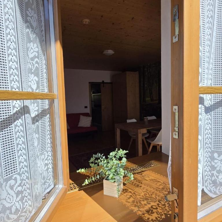 Maison Cavalese - Wild Forest, tranquillità a due passi dal centro - Appartamento con 1 Camera da Letto - 9