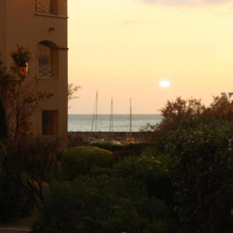 Le Jardin Bleu Agréable T2 vue mer, piscine, jardin - Apartment mit 1 Schlafzimmer - 19