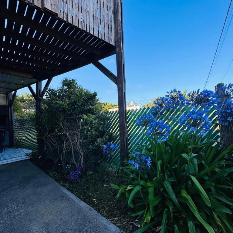 Caleta Olivia - Casa de 2 dormitorios - 5