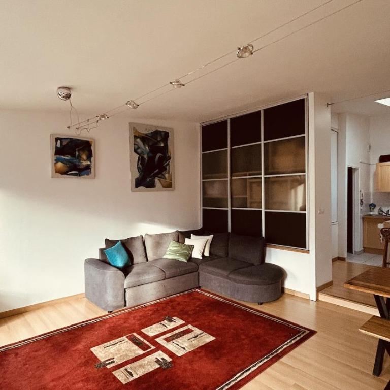 Large bright apartment Downtown Station 5 min away - One-Bedroom Apartment - 8