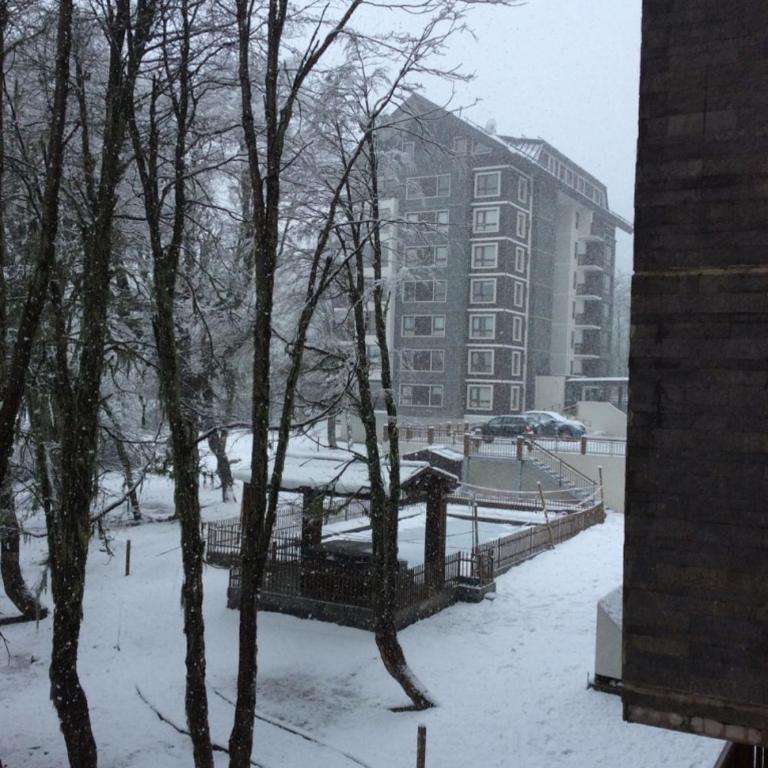 Departamento Termas de Chillan - One-Bedroom Apartment - 1