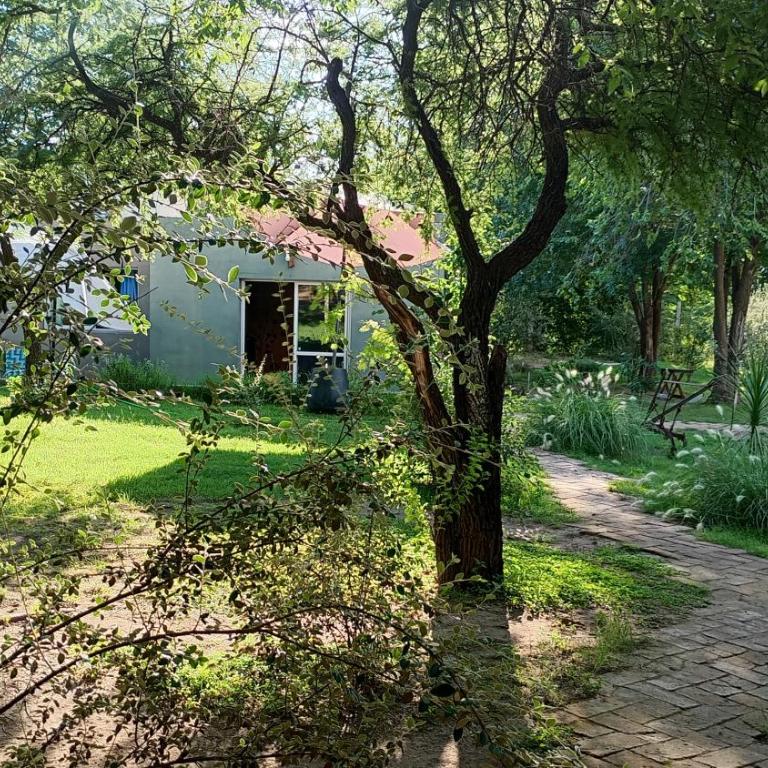 AIRECOSCOINO casas de campo - Casa de 2 dormitorios - 3