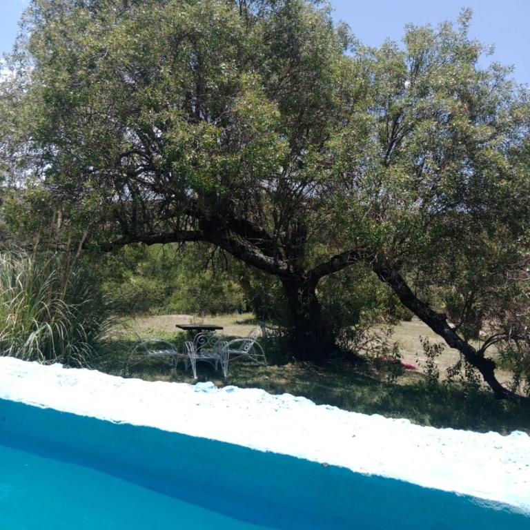 La Pasionaria, casa de campo con pileta - One-Bedroom House - 29