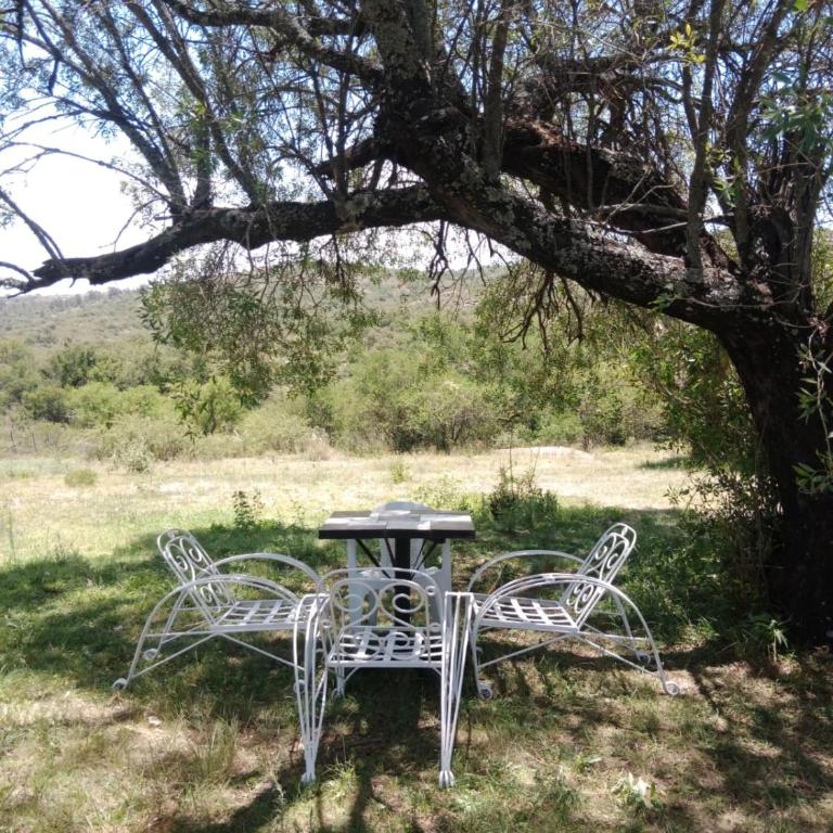 La Pasionaria, casa de campo con pileta - One-Bedroom House - 18