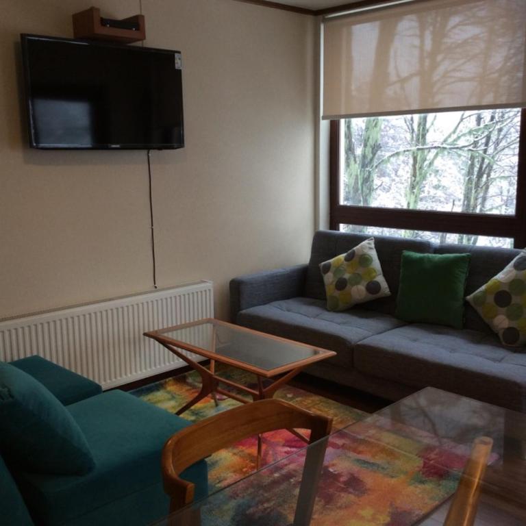 Departamento Termas de Chillan - One-Bedroom Apartment - 9
