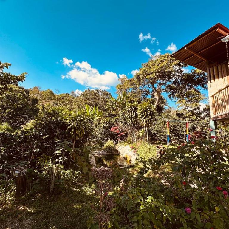 Titiribi-Antioquia- Cabaña el sol - Habitación Doble con baño privado - 63