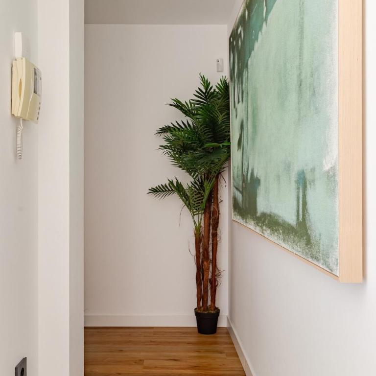 NUEVO ESTUDIO EN EL CENTRO DE DENIA - 11 noches mínimo - Apartamento de 1 dormitorio - 8