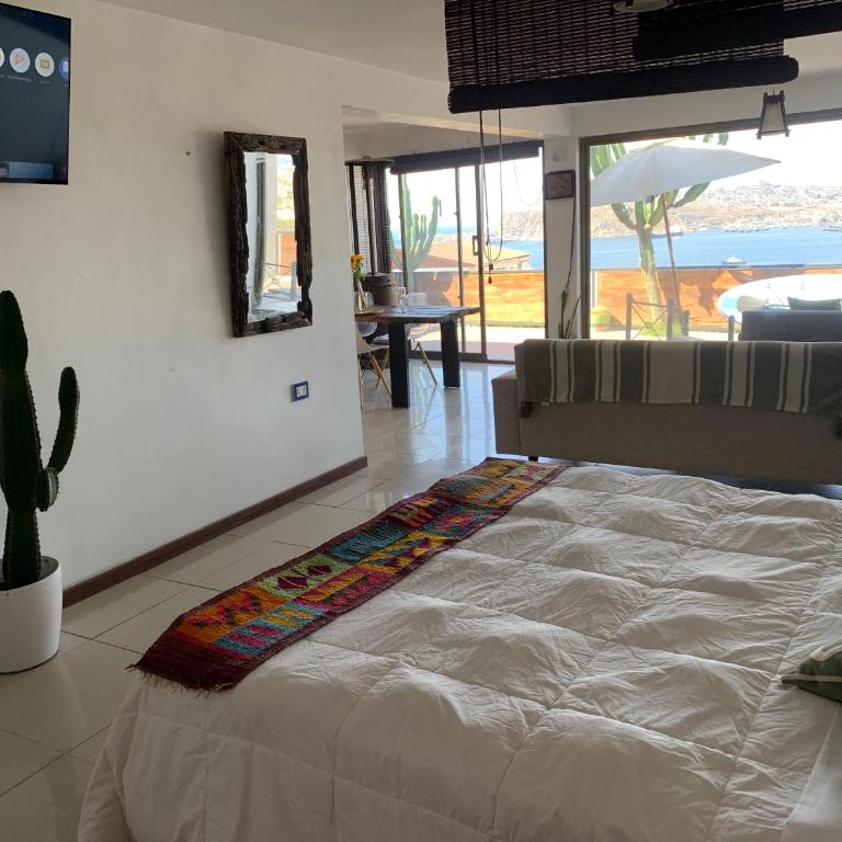 Loft Cactus De La Herradura - One-Bedroom Apartment - 6