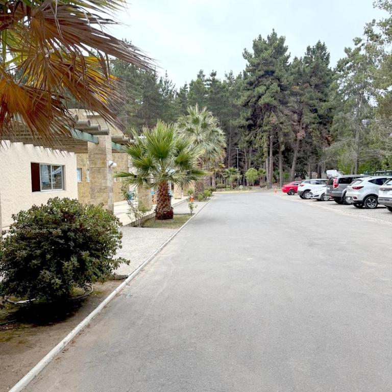 arriendo Alto Las Cruces - Two-Bedroom Apartment - 10