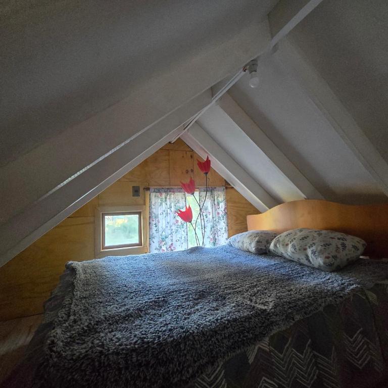 Cabañas bosque de la bruja - Casa de 2 dormitorios - 5