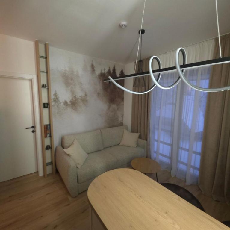 Monte Casa Jahorina - One-Bedroom Deluxe Apartment - 9