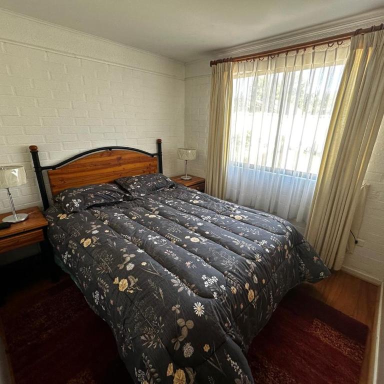 Los Castaños Pucón - Casa de 3 dormitorios - 6