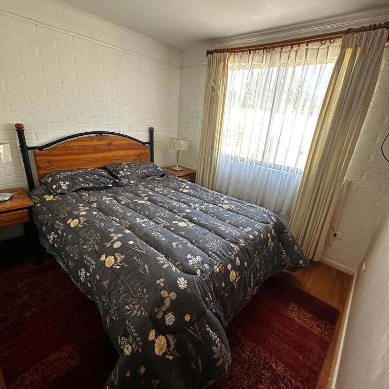 Los Castaños Pucón - Casa de 3 dormitorios - 7