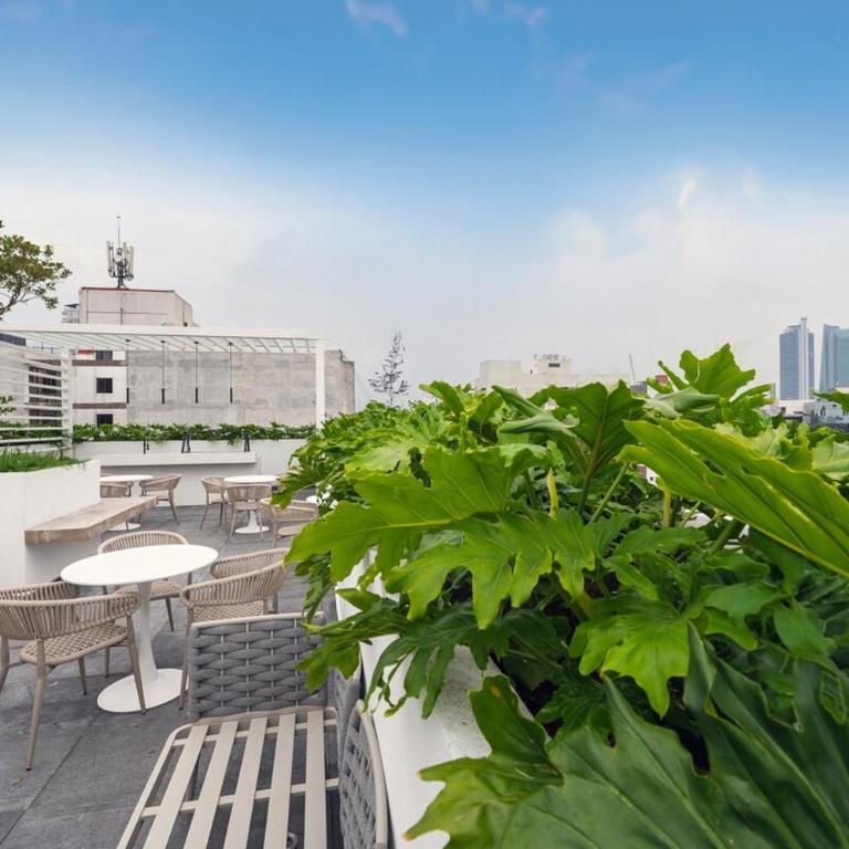 Luxury Apartment in Roma Norte - Apartamento de 1 dormitorio - 11