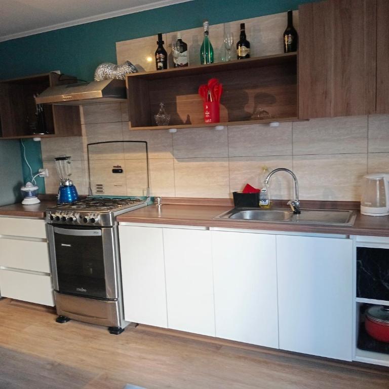 Departamento - One-Bedroom Apartment - 1