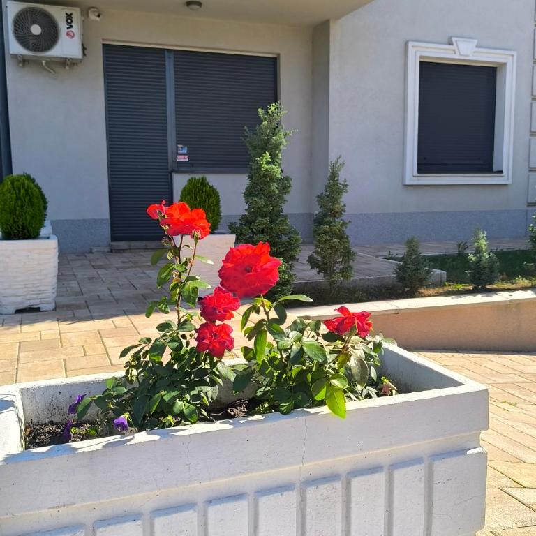 Apartman Pašajlić - Apartman sa 1 Spavaćom Sobom - 75