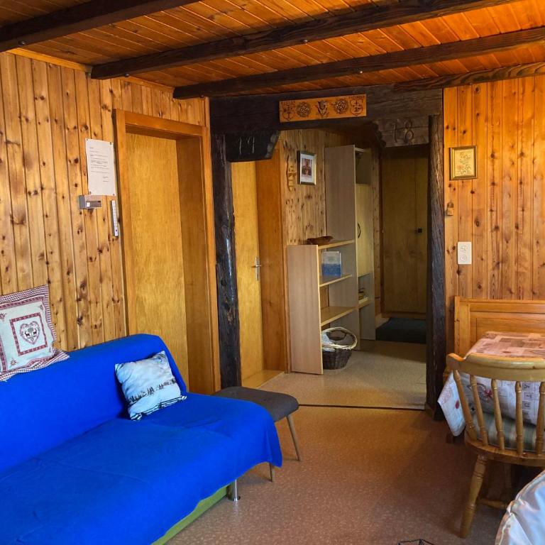 Chalet Lueg uf Belalp - Apartment - 13