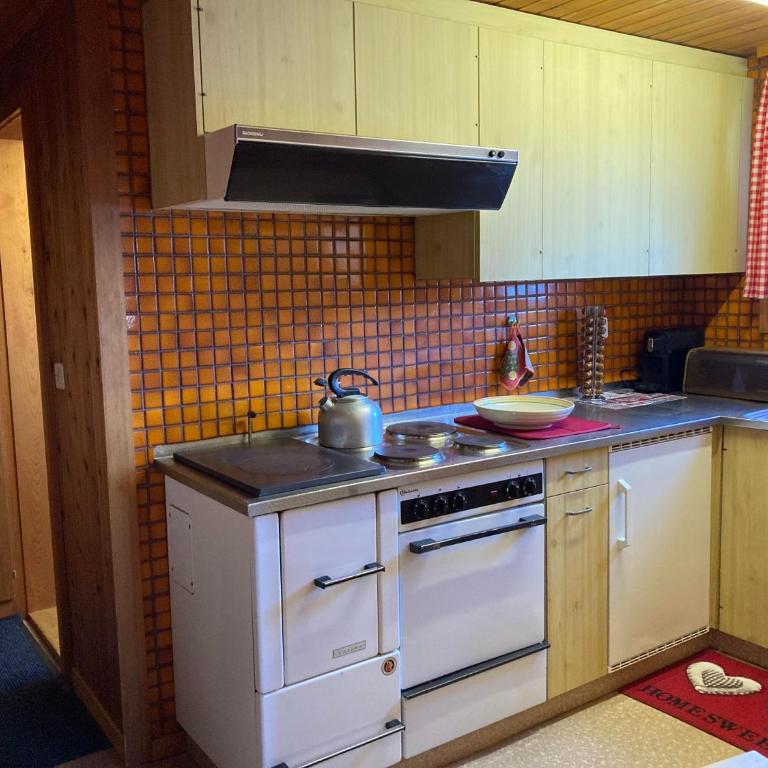 Chalet Lueg uf Belalp - Apartment - 14